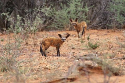 2016 12 07 Namib Otjiwarongo-552-1_bearbeitet-1