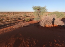 2016 11 27 Namib Fish River-058-1_bearbeitet-1