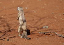 2016 11 27 Namib Fish River-460-1_bearbeitet-1