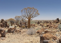 2016 11 27 Namib Fish River-513-1_bearbeitet-1