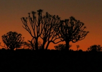 2016 11 27 Namib Fish River-836_bearbeitet-2
