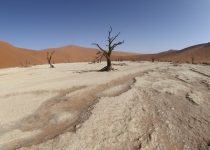 2016 11 30 Namib Naukluft NP-323-1
