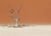 2016 11 30 Namib Naukluft NP-345-1_bearbeitet-1