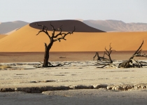 2016 11 30 Namib Naukluft NP-439_bearbeitet-1