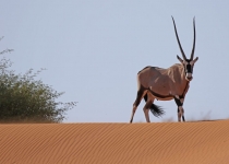 2016 12 01 Namib Sossusvlei-613_bearbeitet-1
