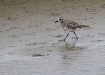 2016 12 02 Namib Swakopmund-384-1_bearbeitet-1