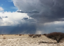 2016 12 06 Namib Etosha NP-420-1_bearbeitet-1