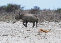 2016 12 07 Namib Otjiwarongo-006-1_bearbeitet-1