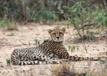 2016 12 07 Namib Otjiwarongo-233-1_bearbeitet-1