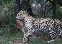 2016 12 08 Namib Otjiwarongo-0035-1_bearbeitet-1