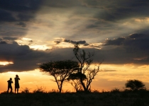 2016 12 08 Namib Otjiwarongo-1051-1_bearbeitet-1