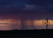 2016 12 08 Namib Otjiwarongo-1115-1_bearbeitet-1