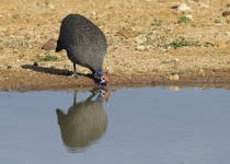 2016 12 09 Namib Windhoek-21-1_bearbeitet-1