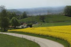 2017 05 18 FKM Mü Zug Altstadt-024_bearbeitet-1