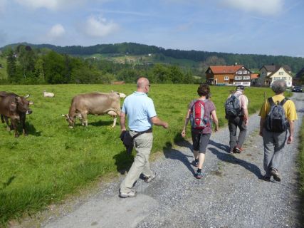 2017 05 25 OM Maibummel Heiden-25-1
