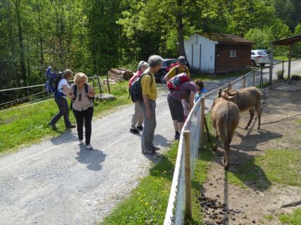2017 05 25 OM Maibummel Heiden-27-1