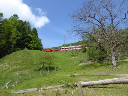 2017 05 25 OM Maibummel Heiden-29-1
