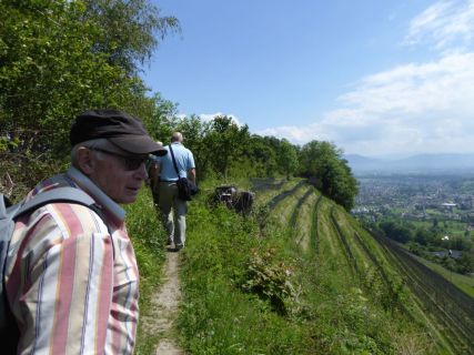 2017 05 25 OM Maibummel Heiden-42