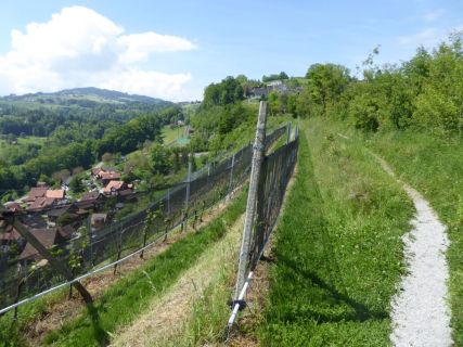 2017 05 25 OM Maibummel Heiden-43