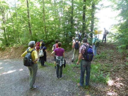 2017 05 25 OM Maibummel Heiden-45