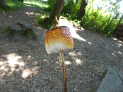 2017 05 25 OM Maibummel Heiden-56