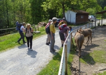 2017 05 25 OM Maibummel Heiden-27-1