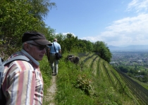 2017 05 25 OM Maibummel Heiden-42
