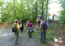 2017 05 25 OM Maibummel Heiden-45