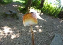 2017 05 25 OM Maibummel Heiden-56
