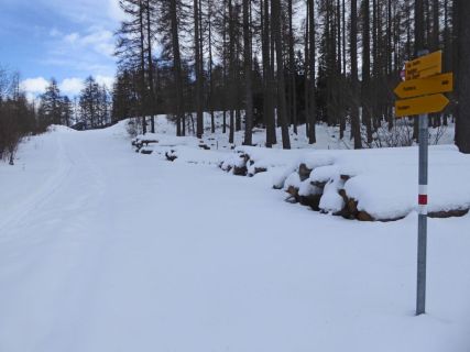 2017 02 08 Ski MüstairChazfora-25_bearbeitet-1