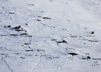 2017 02 09 SkiMüstairRötlspitz-20_bearbeitet-1