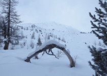 2017 02 10 Ski Müstair Dora-07_bearbeitet-1