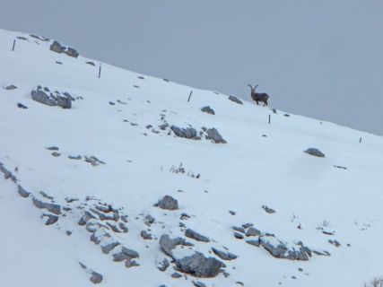 21 2018 02 08 Ski Turettas Ost-087_bearbeitet-1