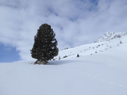 23 2018 02 08 Ski Turettas Ost-093_bearbeitet-1