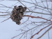 15 2018 02 08 Ski Turettas Ost-064_bearbeitet-1