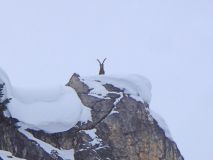 17 2018 02 08 Ski Turettas Ost-070_bearbeitet-1