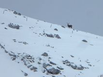 21 2018 02 08 Ski Turettas Ost-087_bearbeitet-1