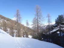 40 2018 02 08 Ski Turettas Ost-177