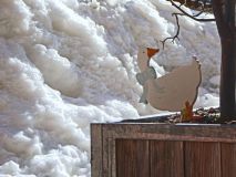 45 2018 02 08 Ski Turettas Ost-194_bearbeitet-1