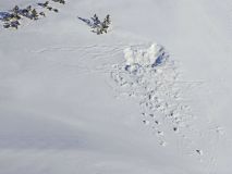 9 2018 02 09 Ski Piz Daint-047_bearbeitet-2