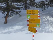 12 2018 02 07 Ski Alp Plazer-041_bearbeitet-1