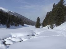 13 2018 02 07 Ski Alp Plazer-045_bearbeitet-1