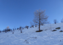 2018 01 04 Piemont 4-10