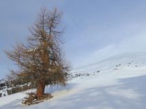 7 2018 02 06 Ski Piz Terza-19_bearbeitet-2