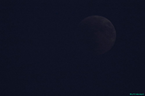 2018 07 27 Mondfinsternis Blut-174_bearbeitet-1