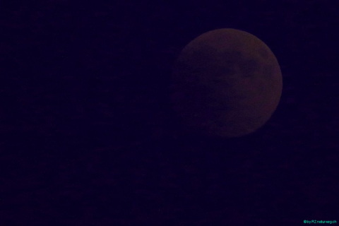 2018 07 27 Mondfinsternis Blut-180_bearbeitet-1