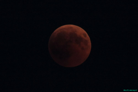 2018 07 27 Mondfinsternis Blut-224_bearbeitet-1