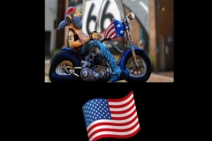 2019 USA R66 (1)