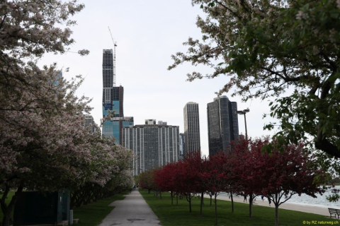 2019-05-20-R66-Chicago-IM_R1716-1