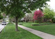 2019-05-20-R66-Millwaukee-HD-Museum-IM_R1440-1